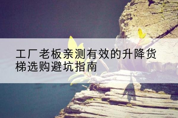 屏边升降货梯怎么选-工厂老板亲测有效的升降货梯选购避坑指南
