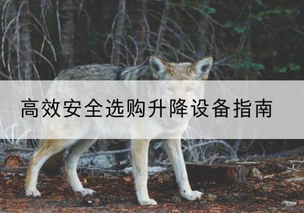 屏边升降货梯厂家推荐-*安全选购升降设备指南