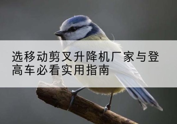 屏边电动升降机厂家-选移动剪叉升降机厂家与登高车必看实用指南