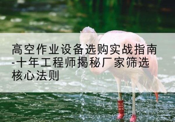 屏边剪叉式升降机厂家-高空作业设备选购实战指南-十年工程师揭秘厂家筛选核心法则